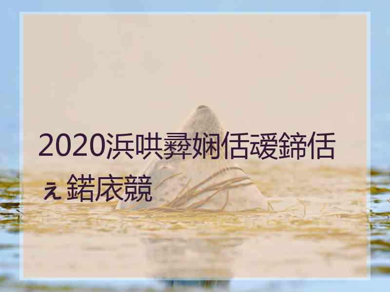 2020浜哄彛娴佸叆鍗佸ぇ鍩庡競