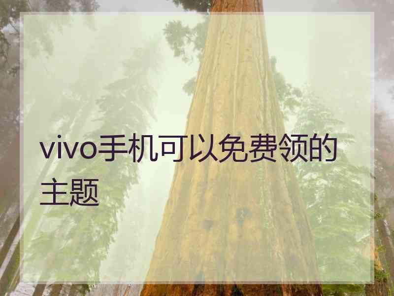 vivo手机可以免费领的主题