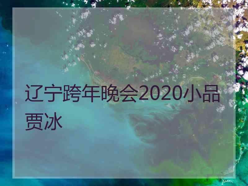 辽宁跨年晚会2020小品贾冰