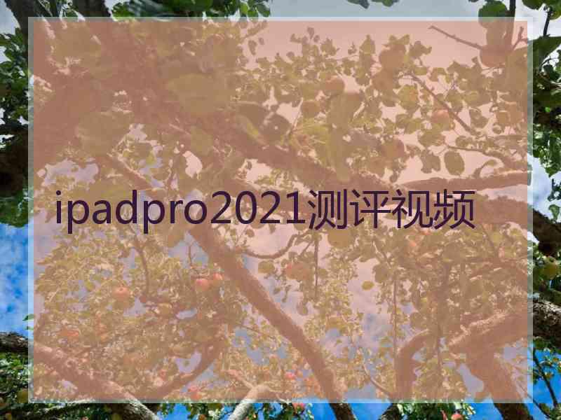 ipadpro2021测评视频