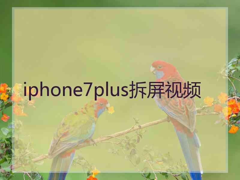 iphone7plus拆屏视频