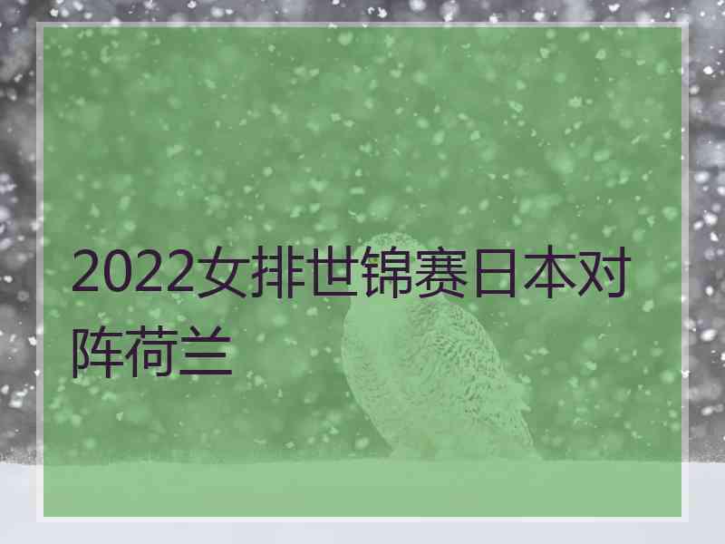 2022女排世锦赛日本对阵荷兰