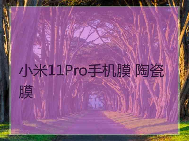 小米11Pro手机膜 陶瓷膜