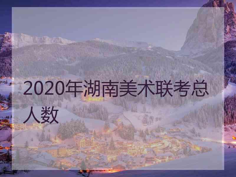 2020年湖南美术联考总人数