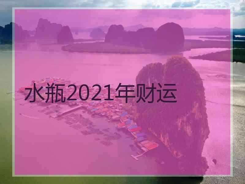 水瓶2021年财运