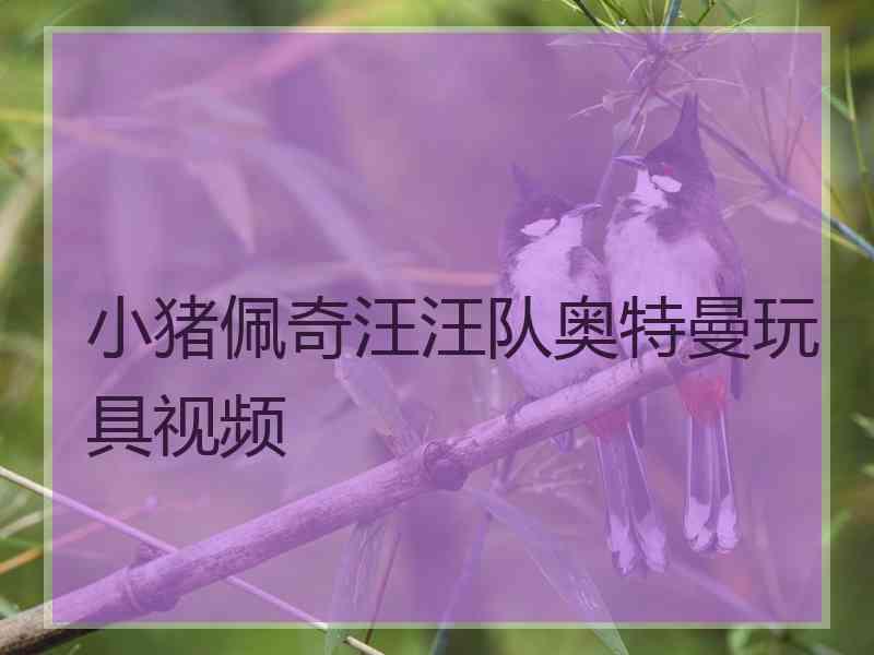 小猪佩奇汪汪队奥特曼玩具视频