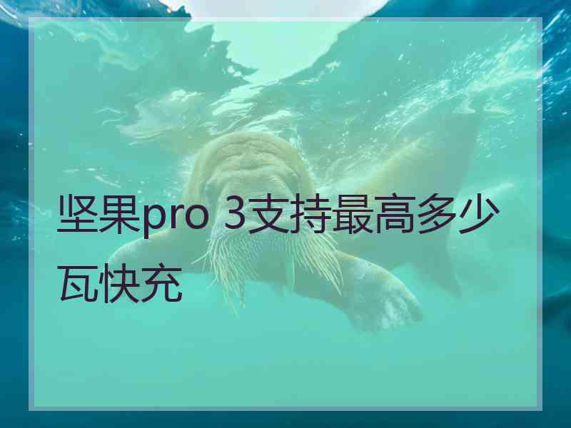 坚果pro 3支持最高多少瓦快充