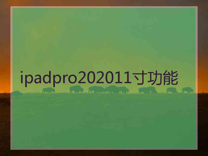 ipadpro202011寸功能