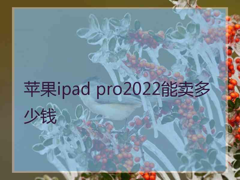 苹果ipad pro2022能卖多少钱