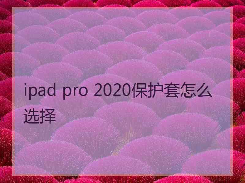 ipad pro 2020保护套怎么选择