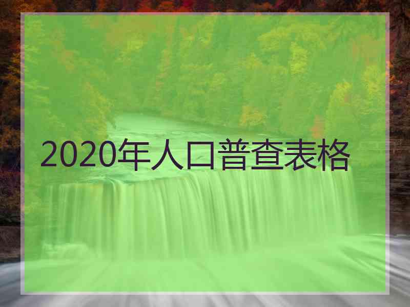 2020年人口普查表格