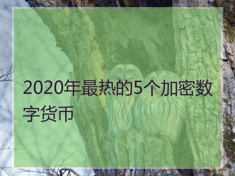 2020年最热的5个加密数字货币