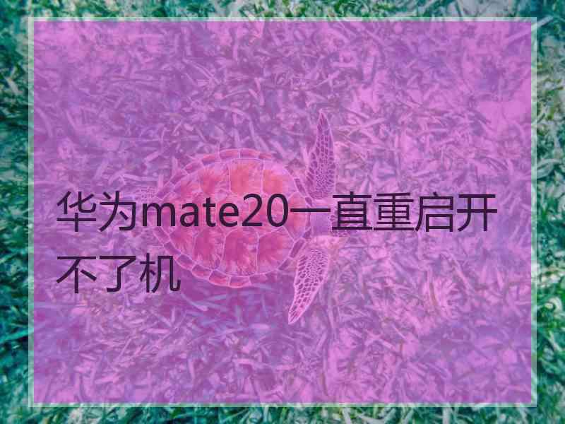 华为mate20一直重启开不了机