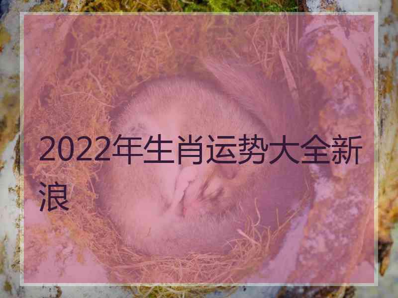 2022年生肖运势大全新浪