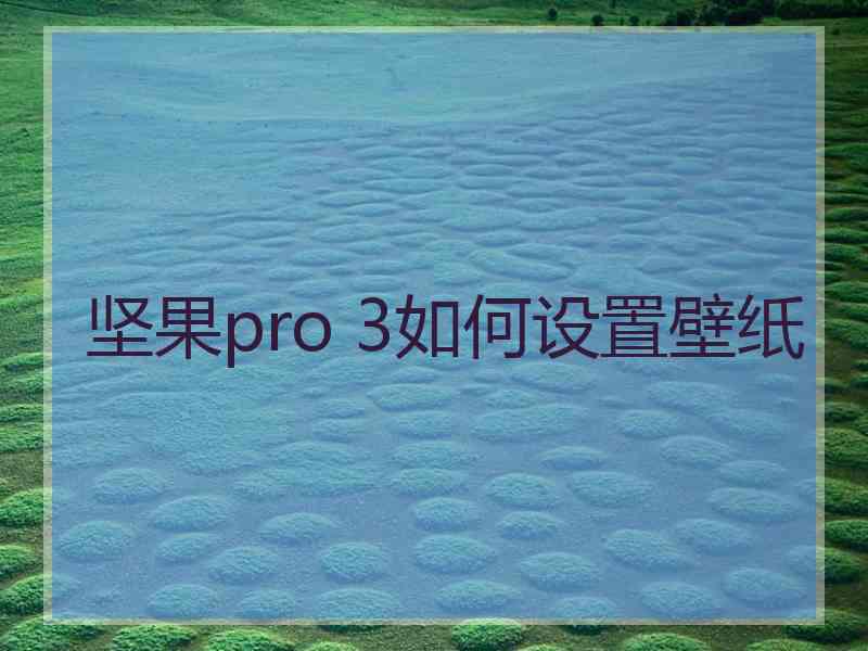 坚果pro 3如何设置壁纸