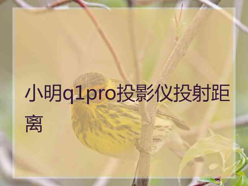 小明q1pro投影仪投射距离