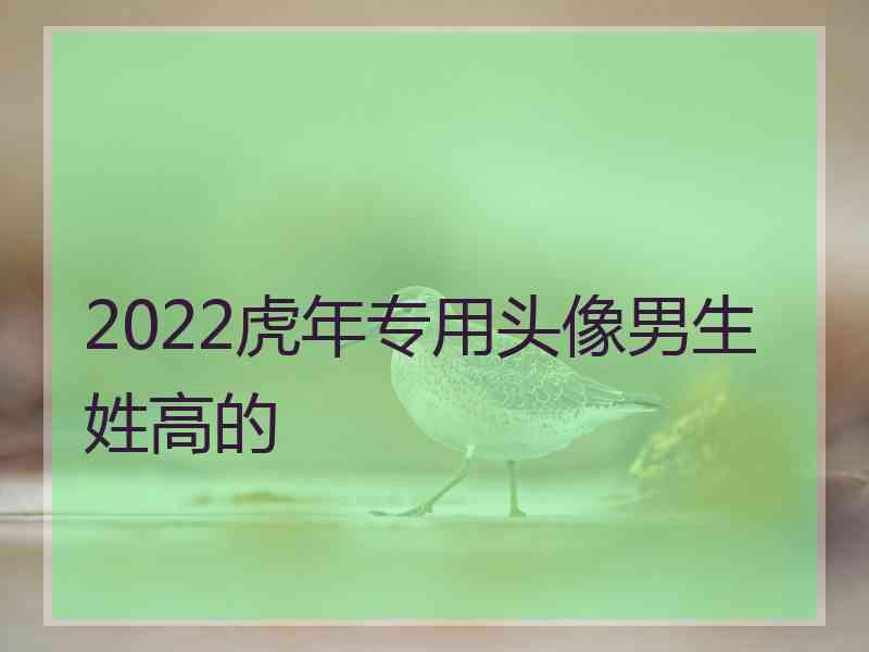 2022虎年专用头像男生姓高的