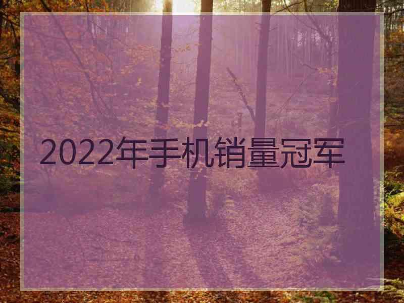 2022年手机销量冠军