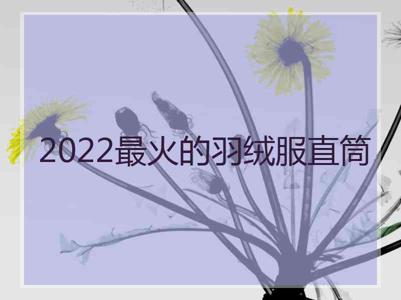 2022最火的羽绒服直筒