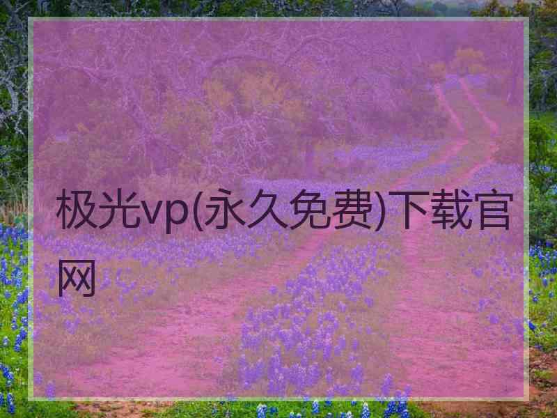 极光vp(永久免费)下载官网