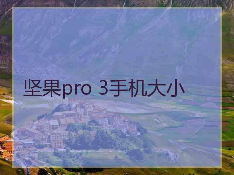 坚果pro 3手机大小