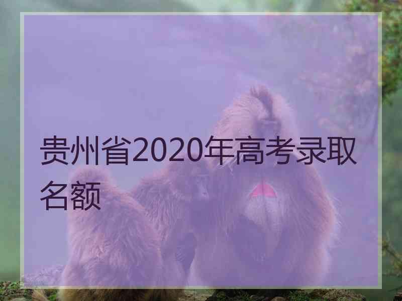 贵州省2020年高考录取名额