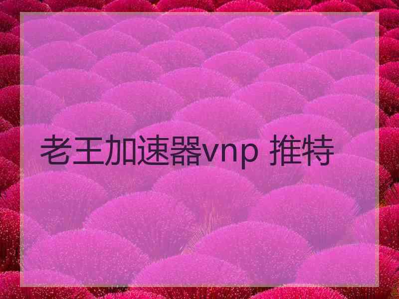 老王加速器vnp 推特