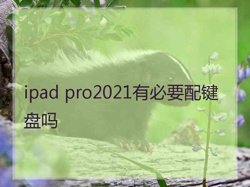 ipad pro2021有必要配键盘吗