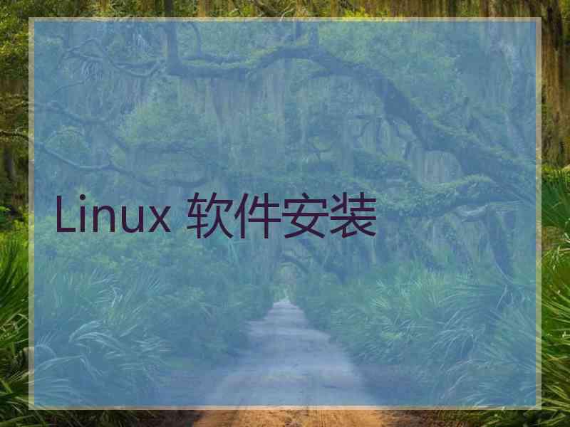 Linux 软件安装