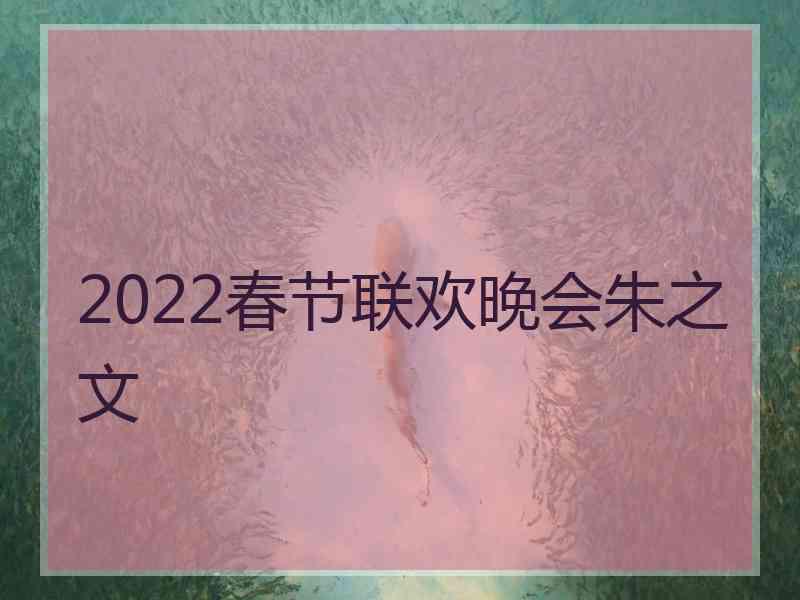 2022春节联欢晚会朱之文