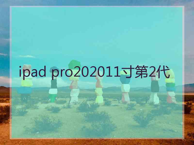 ipad pro202011寸第2代