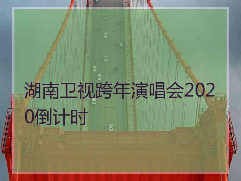 湖南卫视跨年演唱会2020倒计时