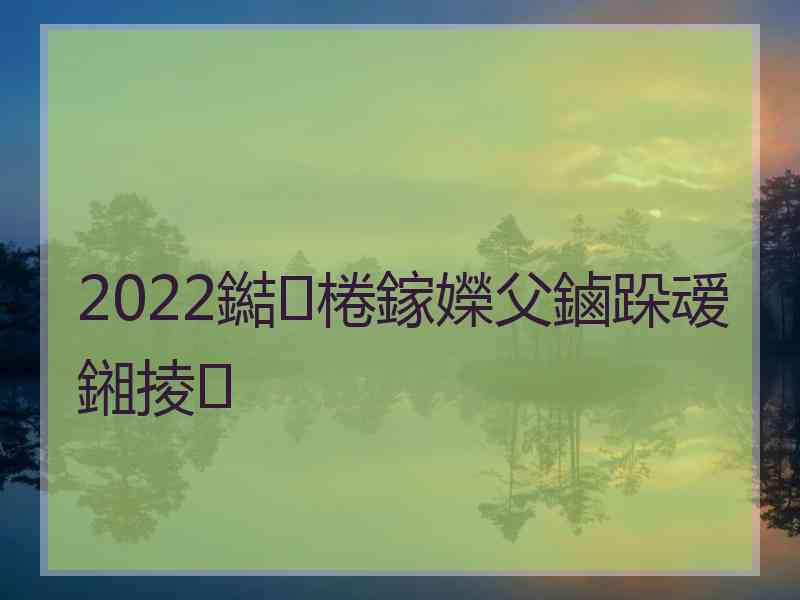 2022鐑棬鎵嬫父鏀跺叆鎺掕