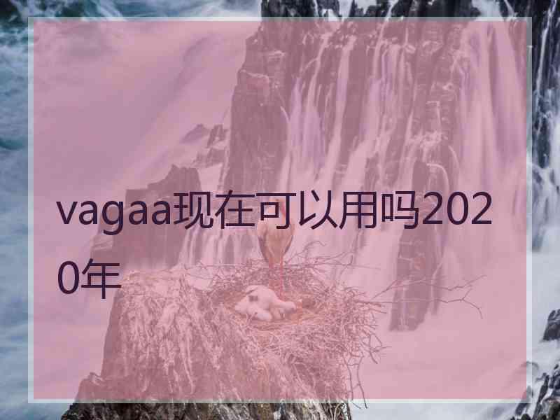 vagaa现在可以用吗2020年