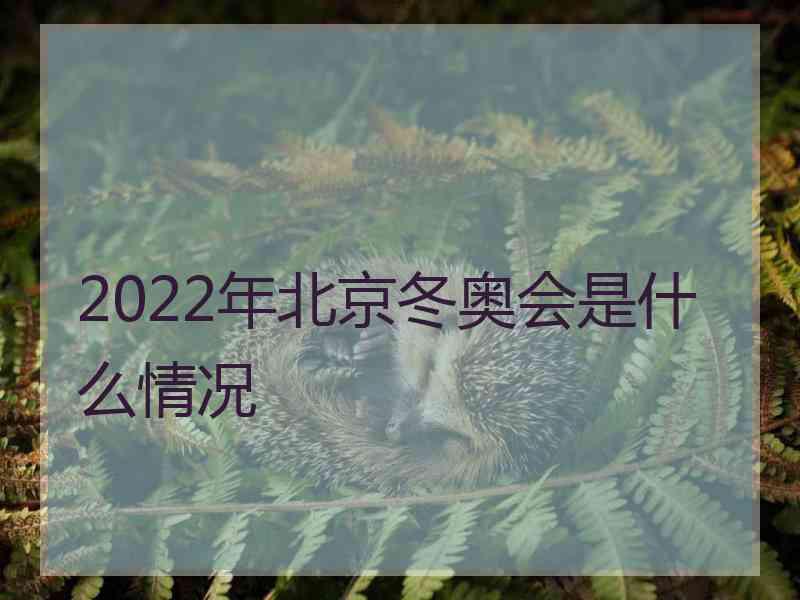 2022年北京冬奥会是什么情况