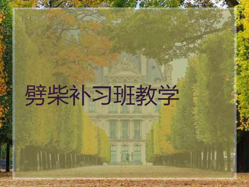 劈柴补习班教学