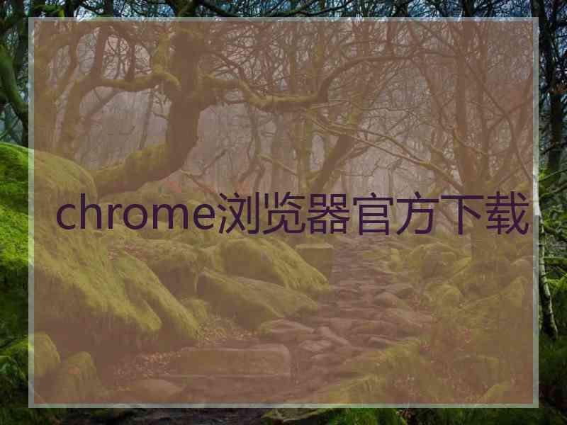 chrome浏览器官方下载