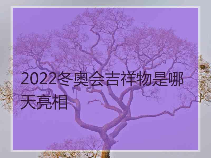 2022冬奥会吉祥物是哪天亮相