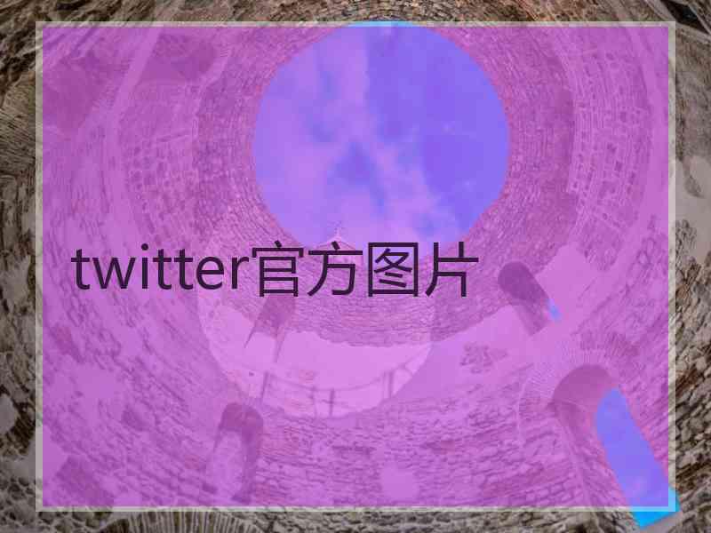 twitter官方图片