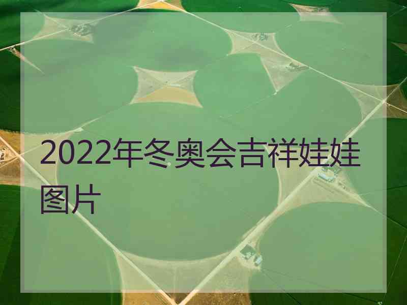 2022年冬奥会吉祥娃娃图片