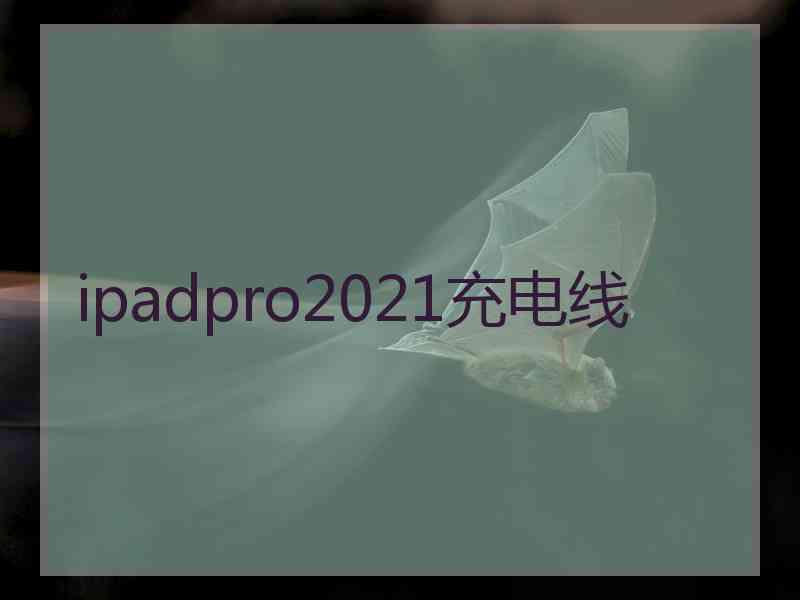 ipadpro2021充电线