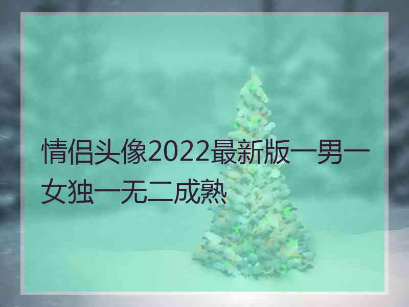 情侣头像2022最新版一男一女独一无二成熟