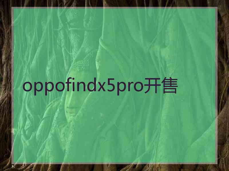 oppofindx5pro开售