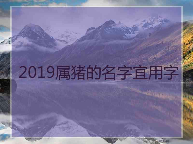 2019属猪的名字宜用字