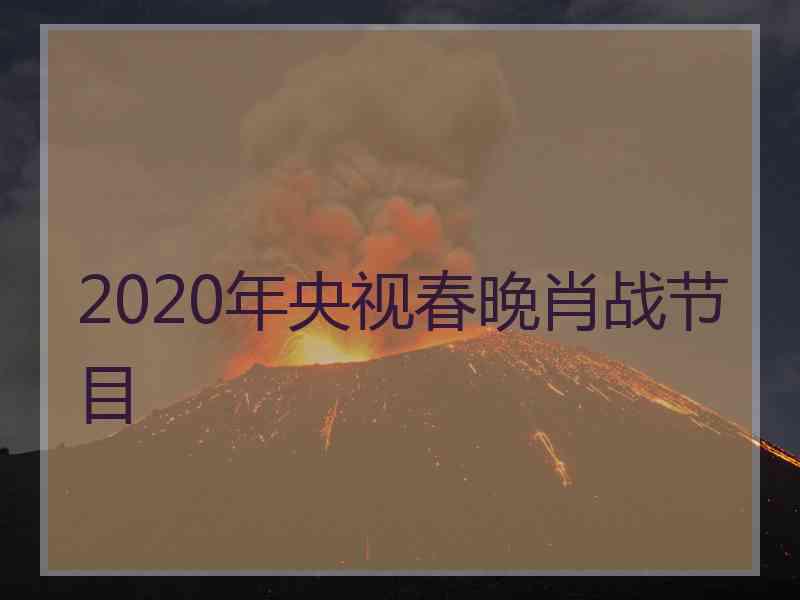 2020年央视春晚肖战节目