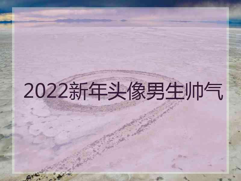 2022新年头像男生帅气