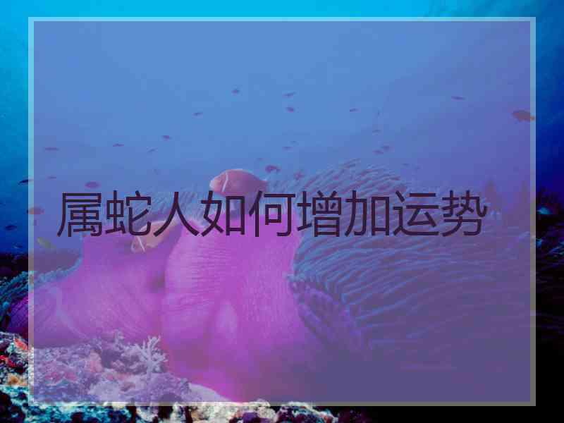 属蛇人如何增加运势