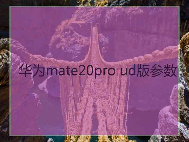 华为mate20pro ud版参数