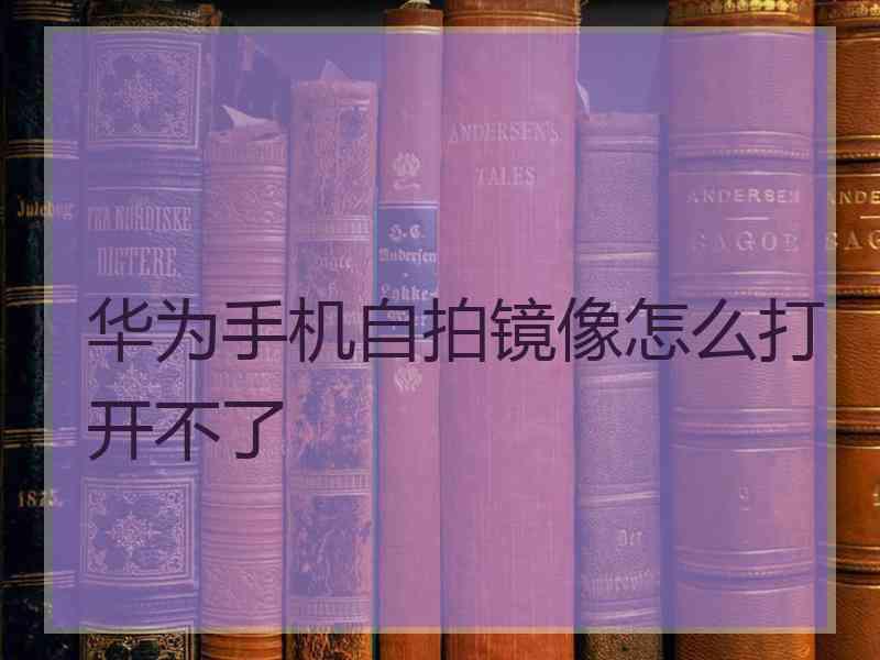 华为手机自拍镜像怎么打开不了