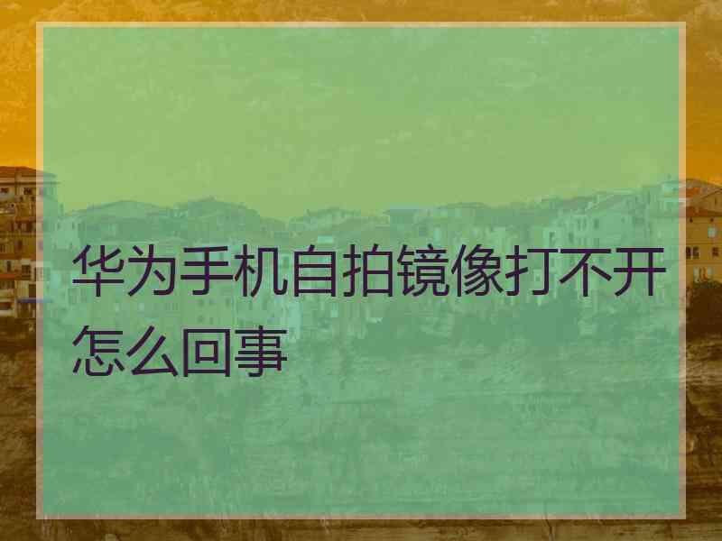 华为手机自拍镜像打不开怎么回事